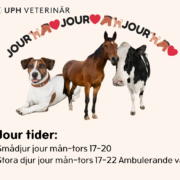 Veterinärjour tillgänglig!