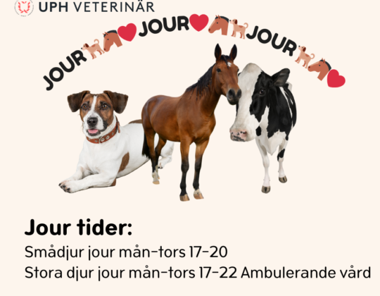 Veterinärjour tillgänglig!